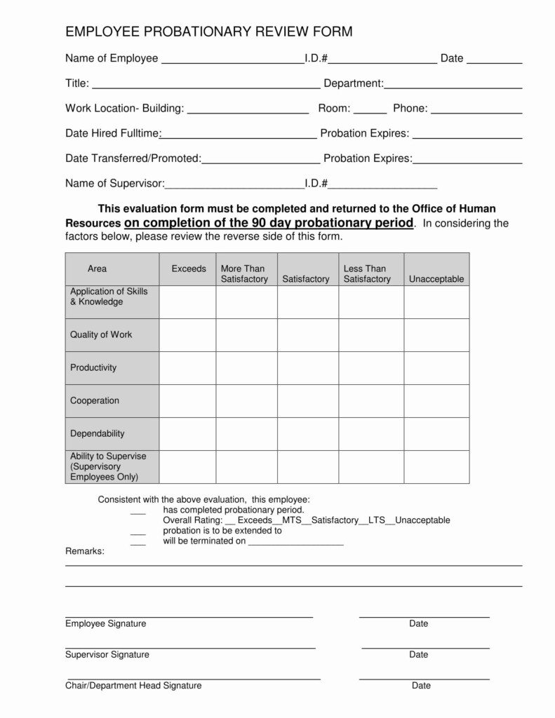 90 Day Employee Evaluation Form In 2020 Employee Evaluation Form 