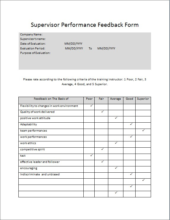 Supervisor Performance Feedback Form Microsoft Word Excel Templates